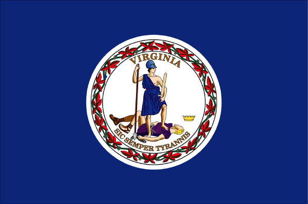 new york state flag. of the State Flag